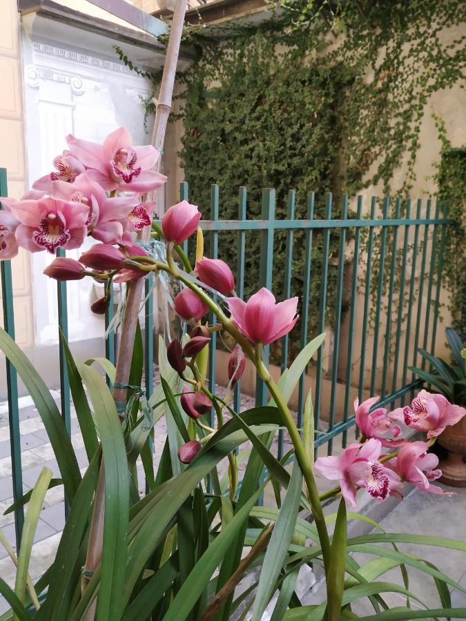 La Priaguea - House Beach Apartment Camogli Exterior photo